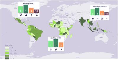 Where Is My Crop? Data-Driven Initiatives to Support Integrated Multi-Stakeholder Agricultural Decisions